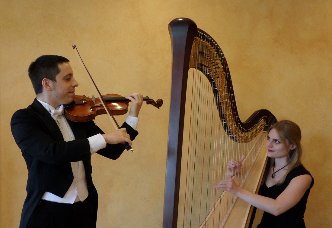 Wedding harp and violin